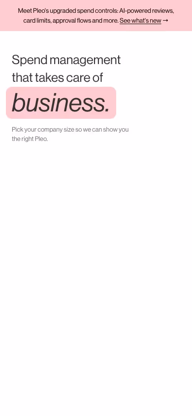 Pleo mobile design — Finance