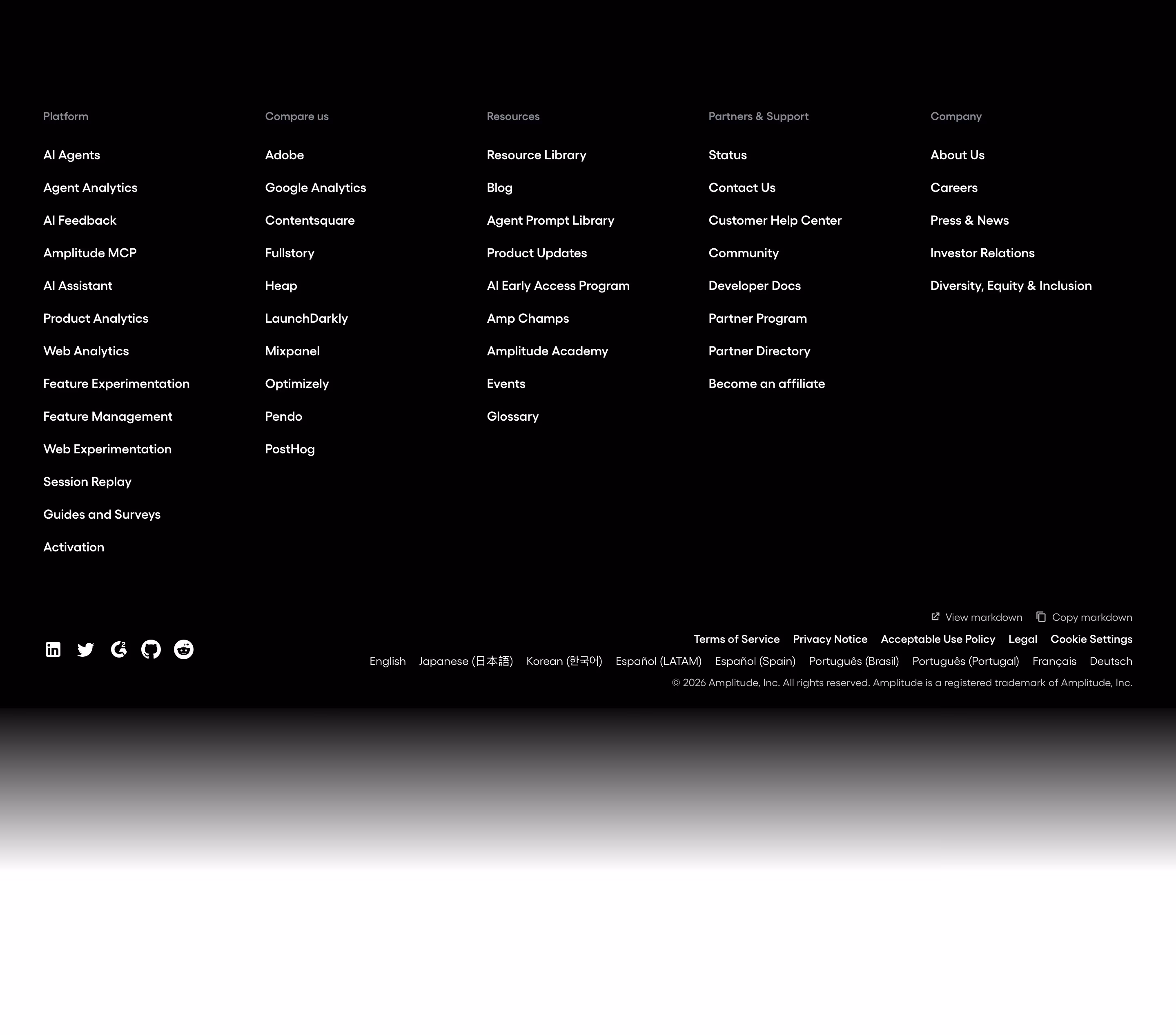 Amplitude Footers section design